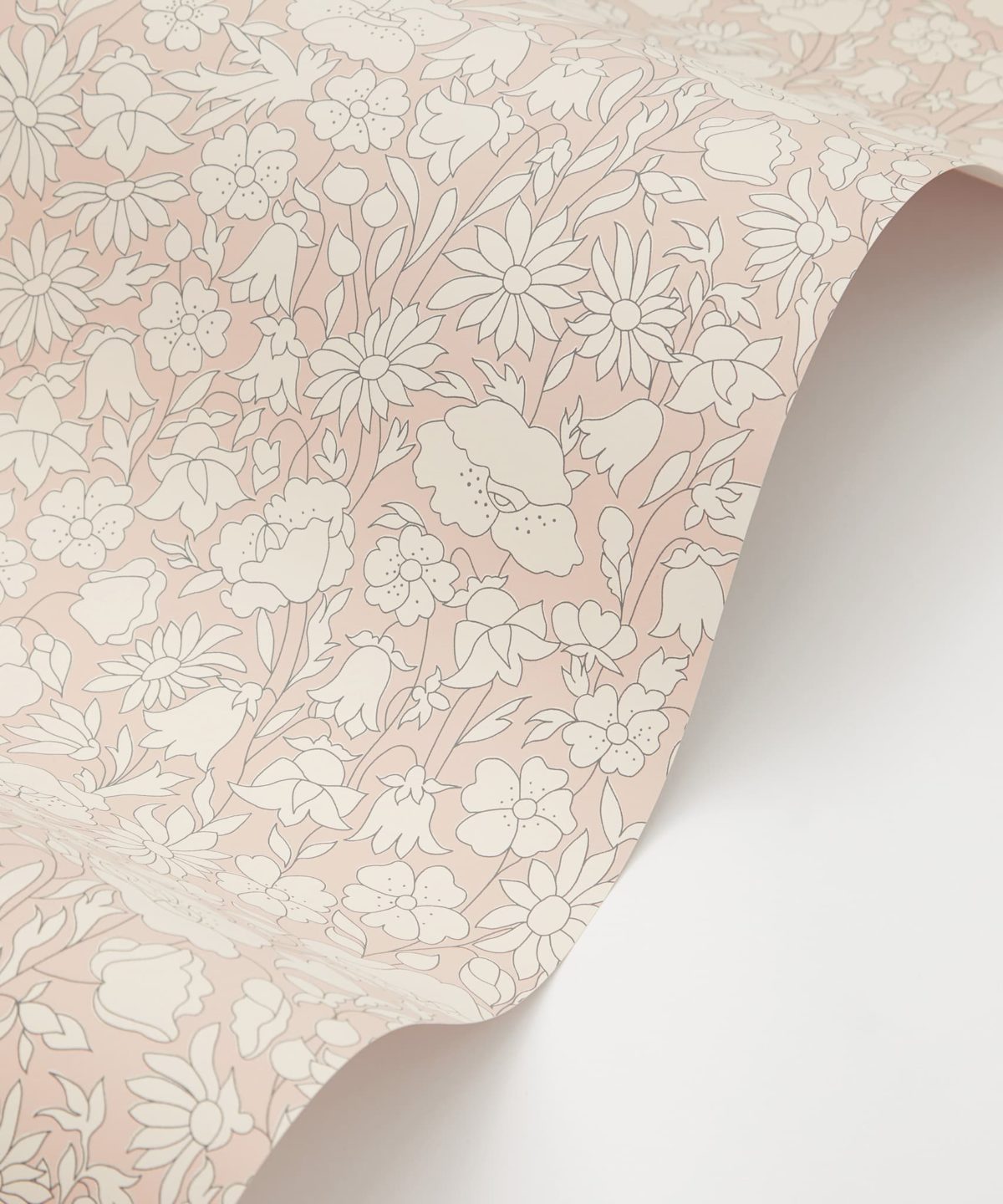 Poppy Meadow Wallpaper in Ointment - Image 2