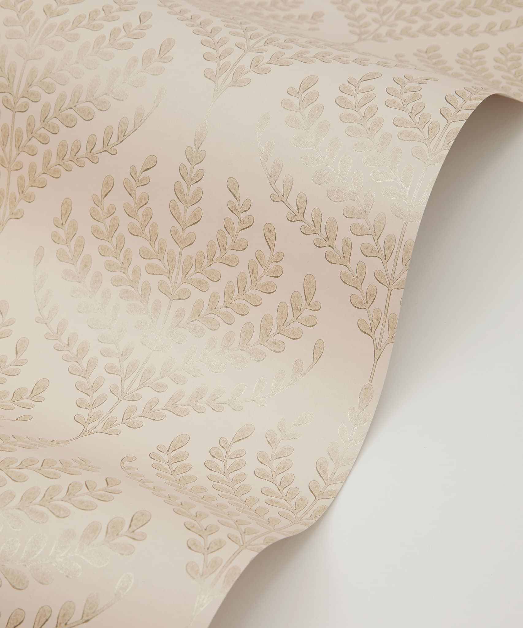 Paisley Fern Wallpaper in Ointment - Image 2