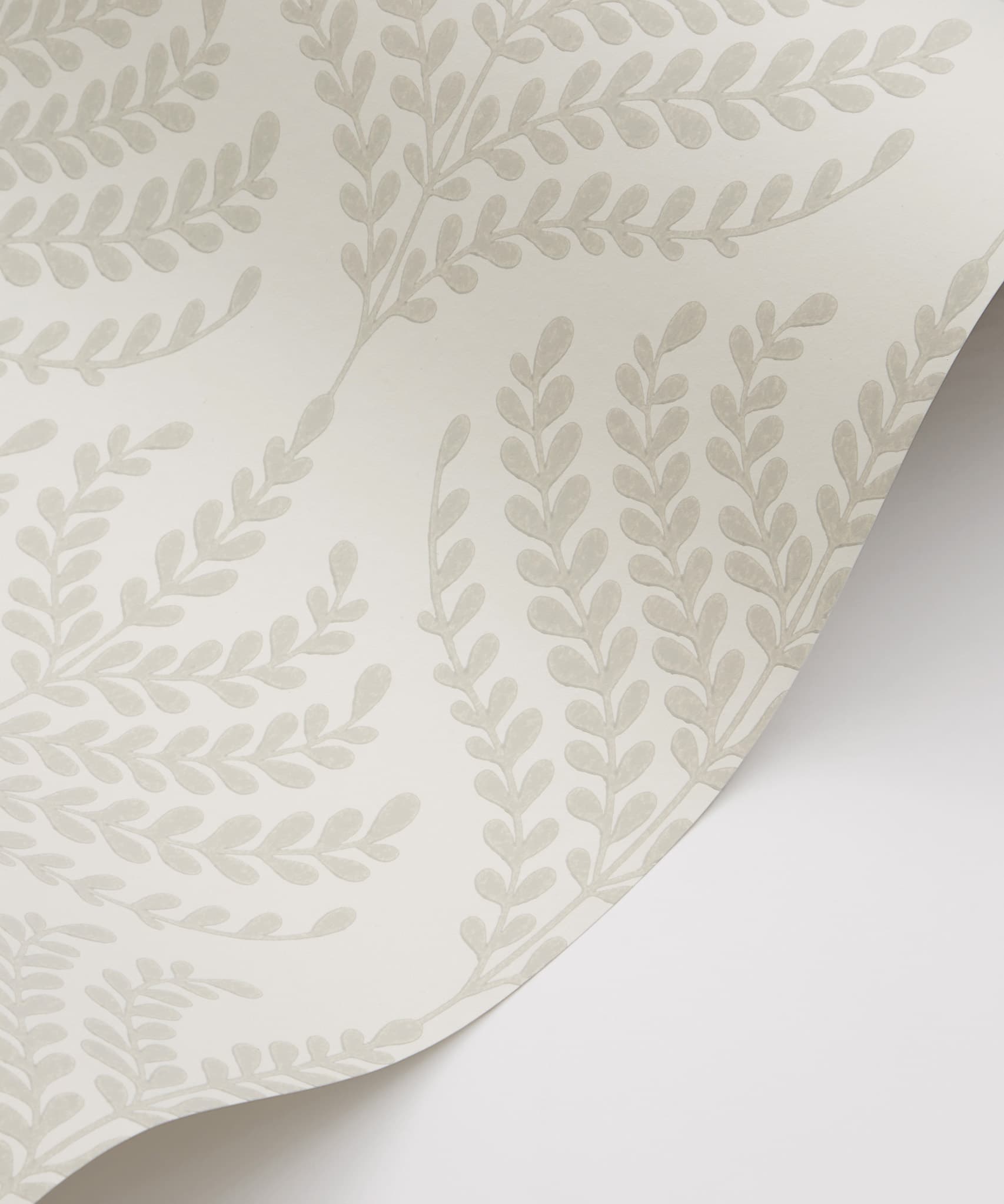 Paisley Fern Wallpaper in Pewter White - Image 2