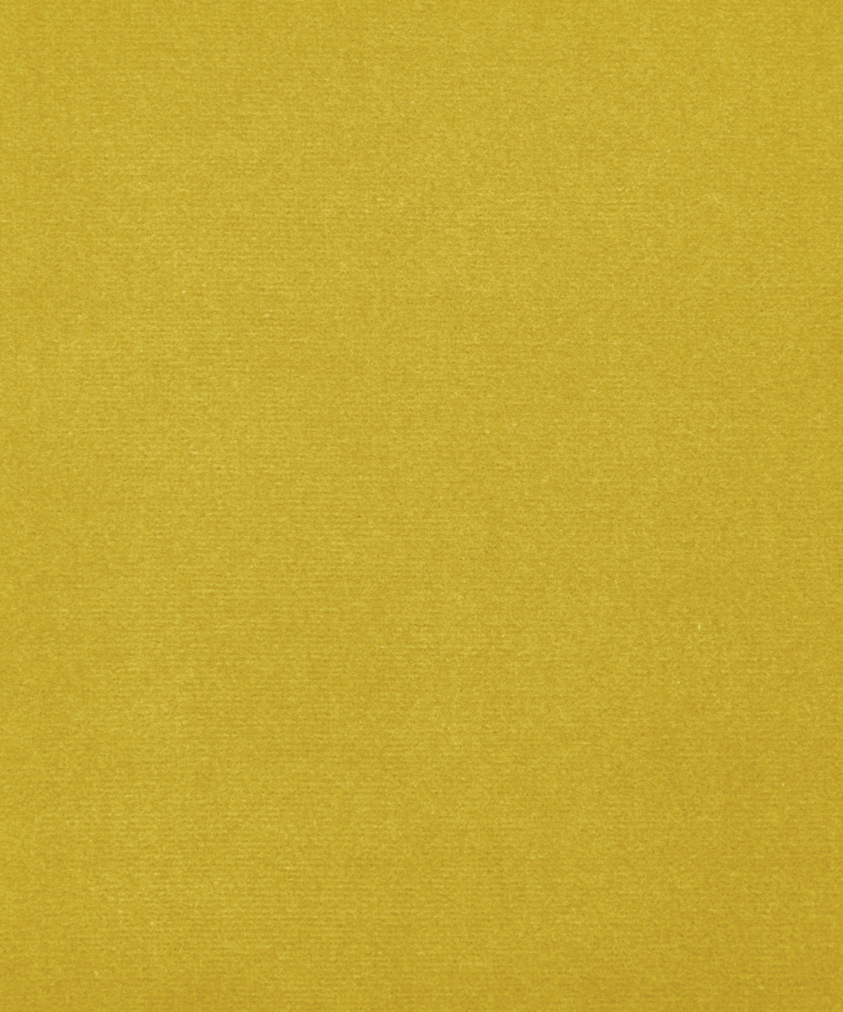 Cotton Velvet in Yarrow - Indoor