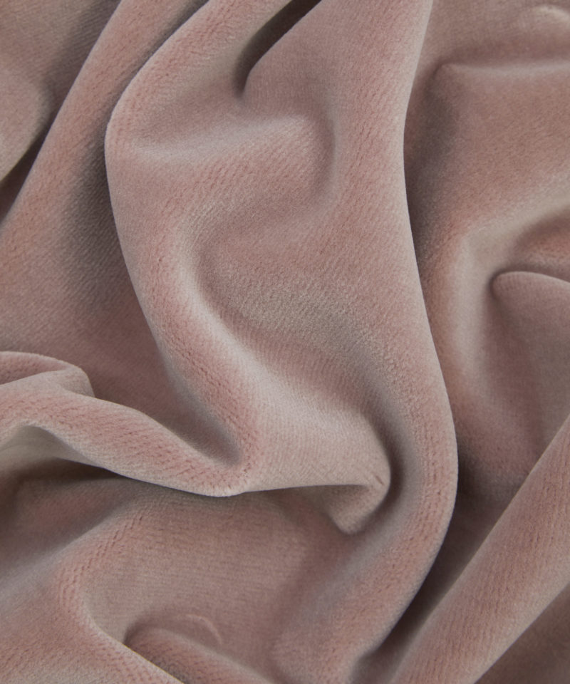 Cotton Velvet