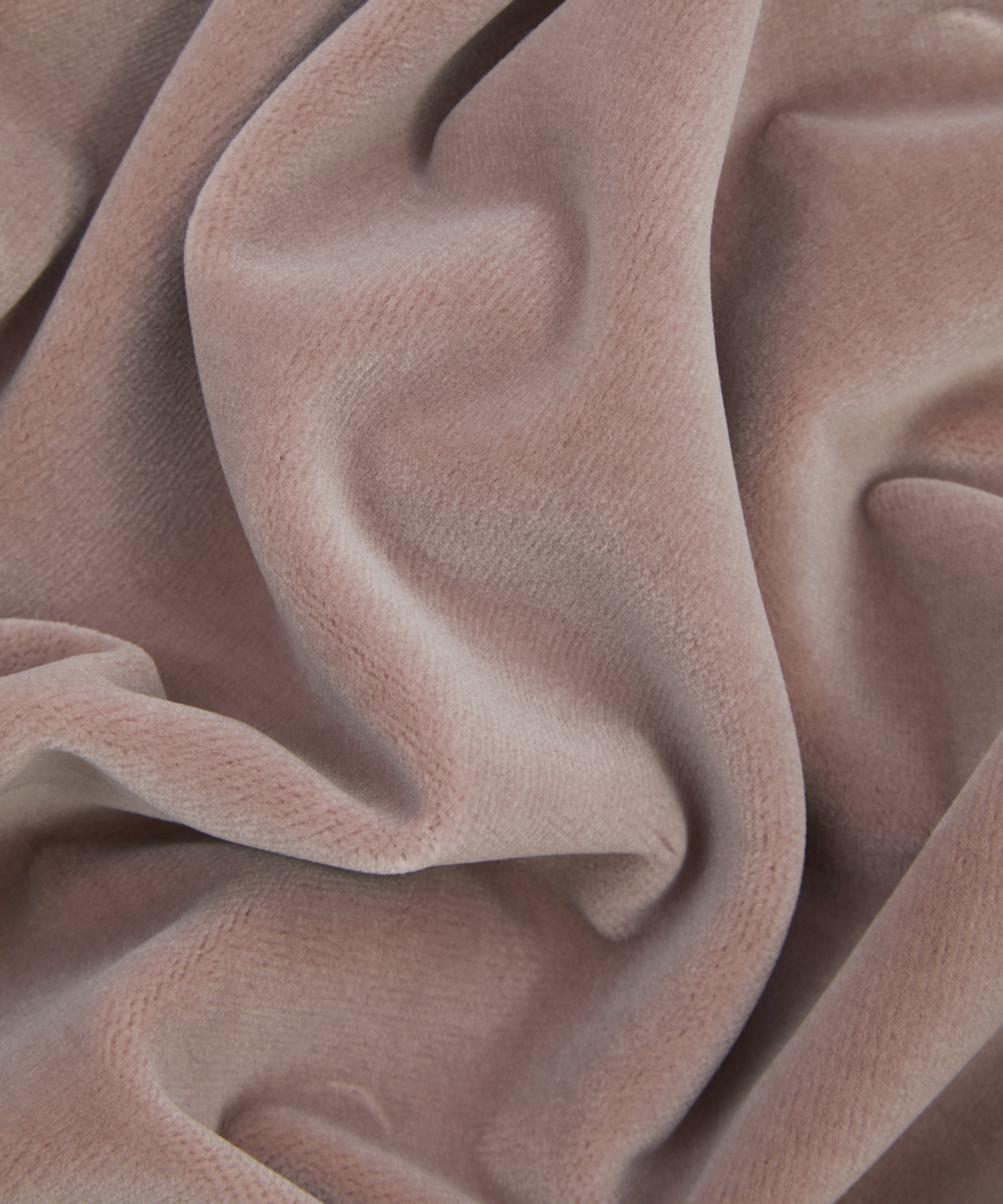 Liberty Interiors Cotton Velvet in Amaranth