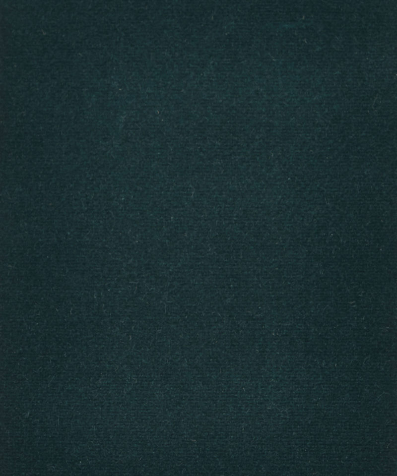 Cotton Velvet in Scarab - Indoor