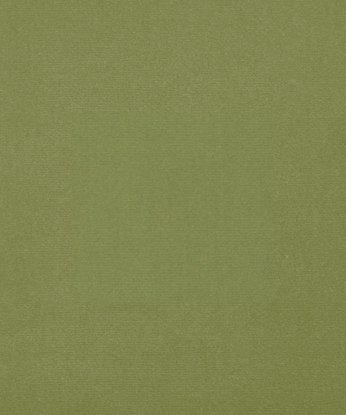 Cotton Velvet in Fern - Indoor