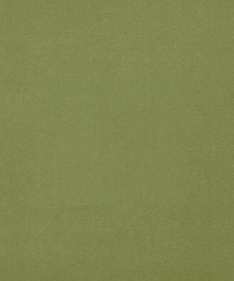 Cotton Velvet in Fern - Indoor