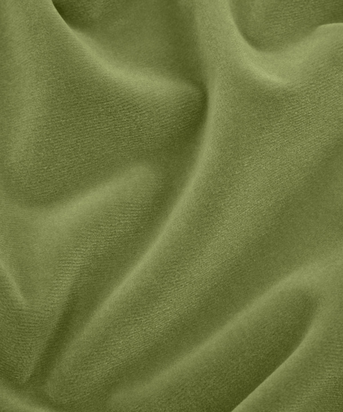 Cotton Velvet in Fern - Indoor - Image 5