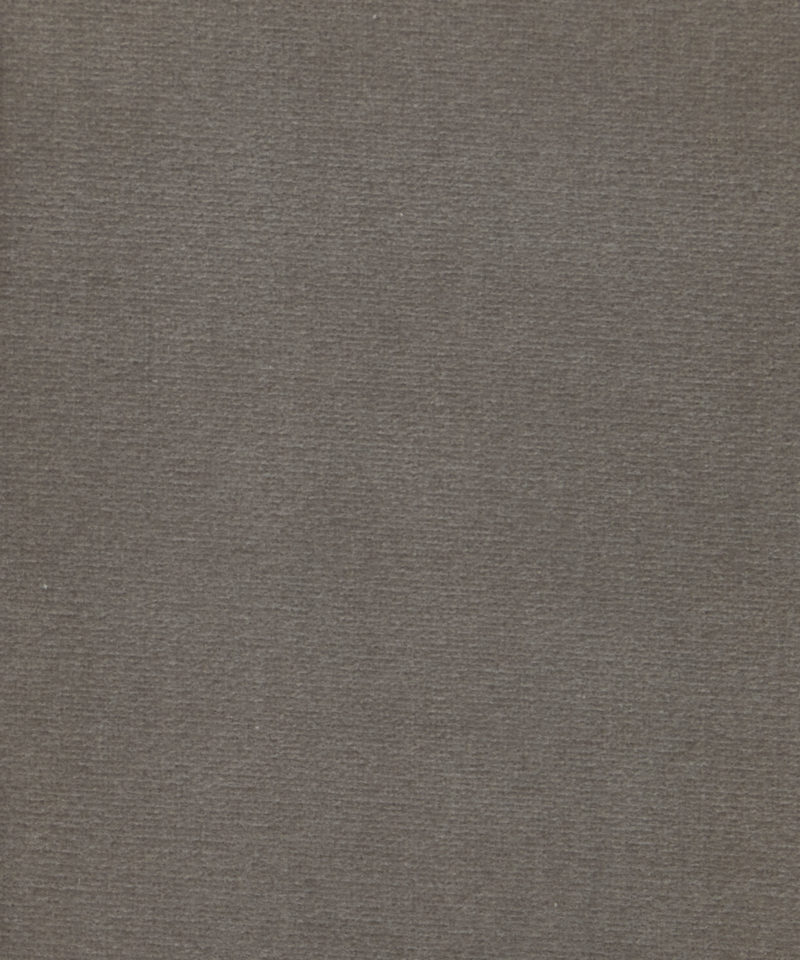 Cotton Velvet in Flax - Indoor