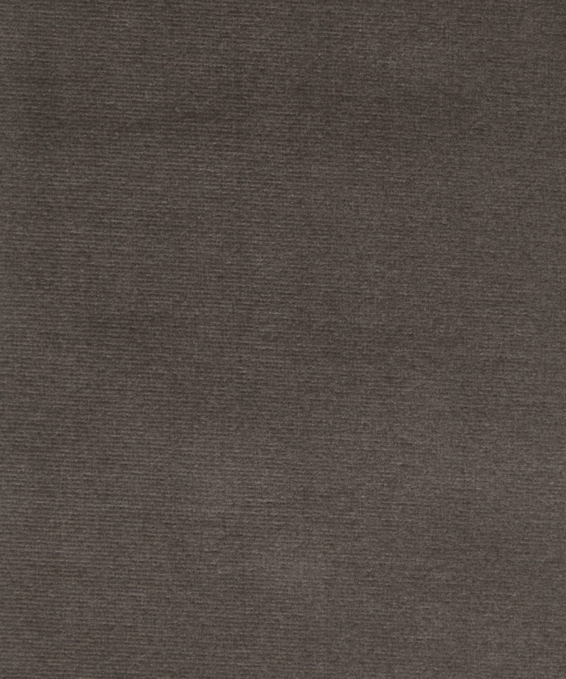 Cotton Velvet in Curlew - Indoor