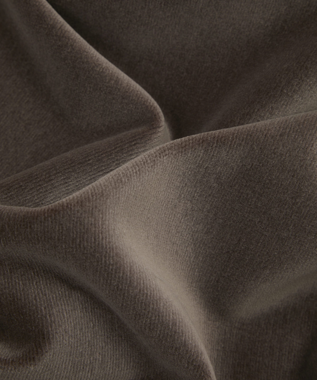Cotton Velvet in Curlew - Indoor - Image 5