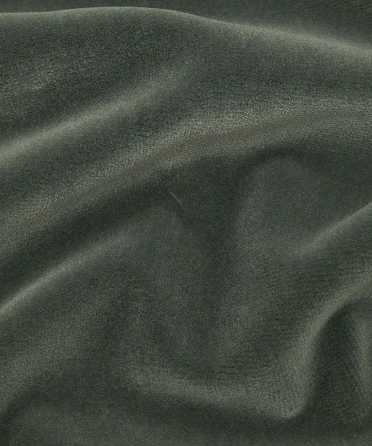 Cotton Velvet in Agave - Indoor - Image 5