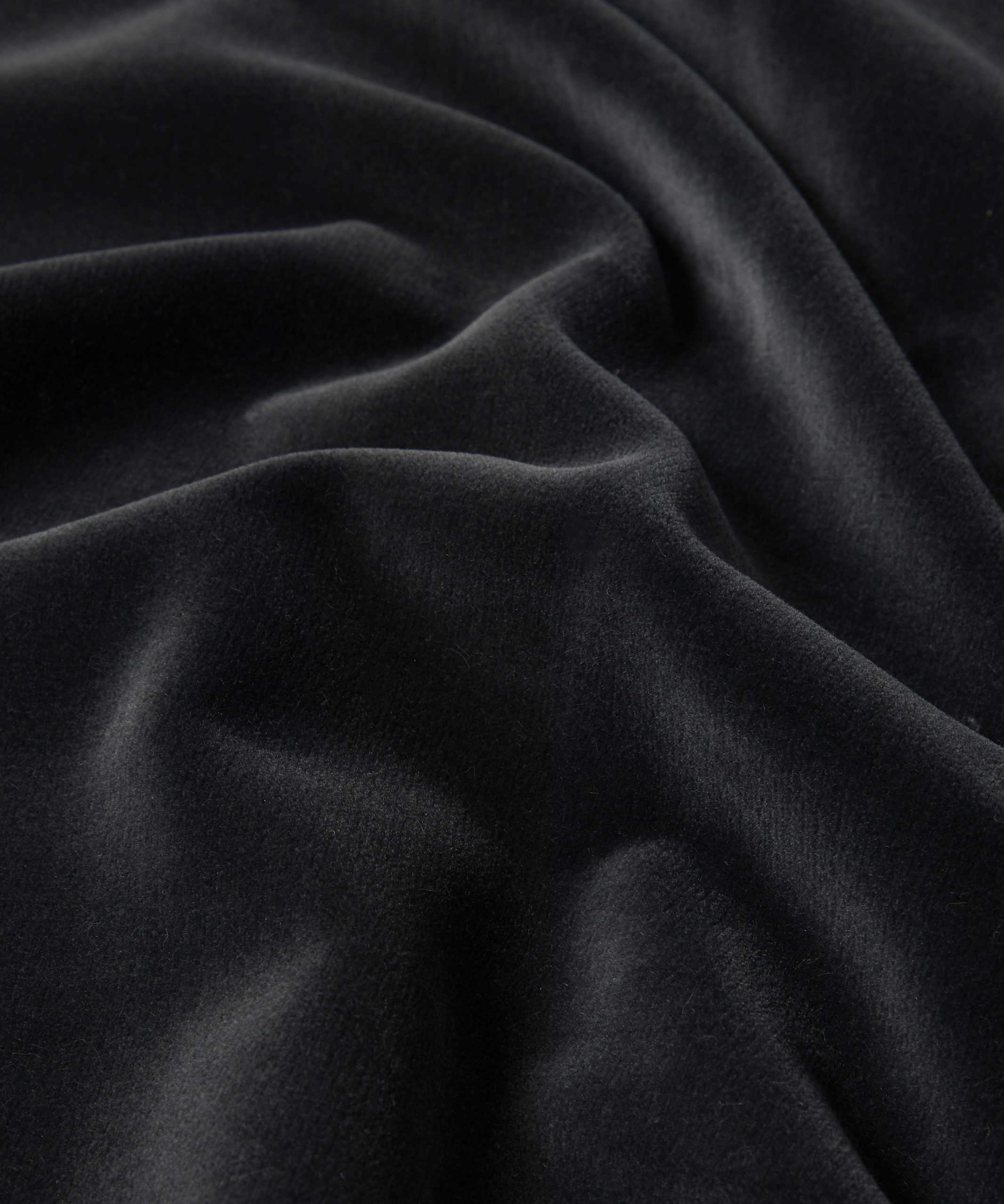 Cotton Velvet in Quartz - Indoor - Image 5