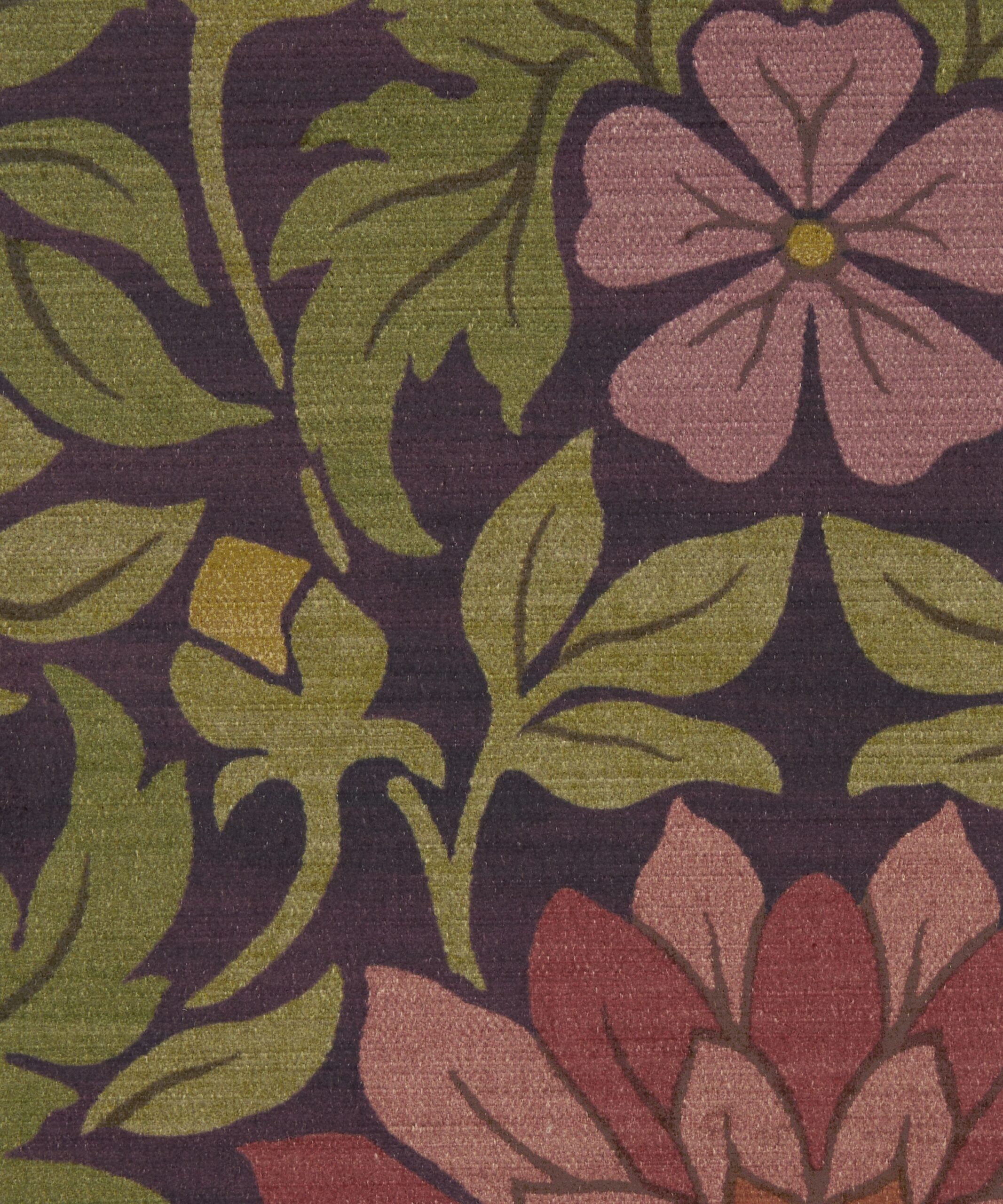 Moon Garden in Dragonfly - Indoor