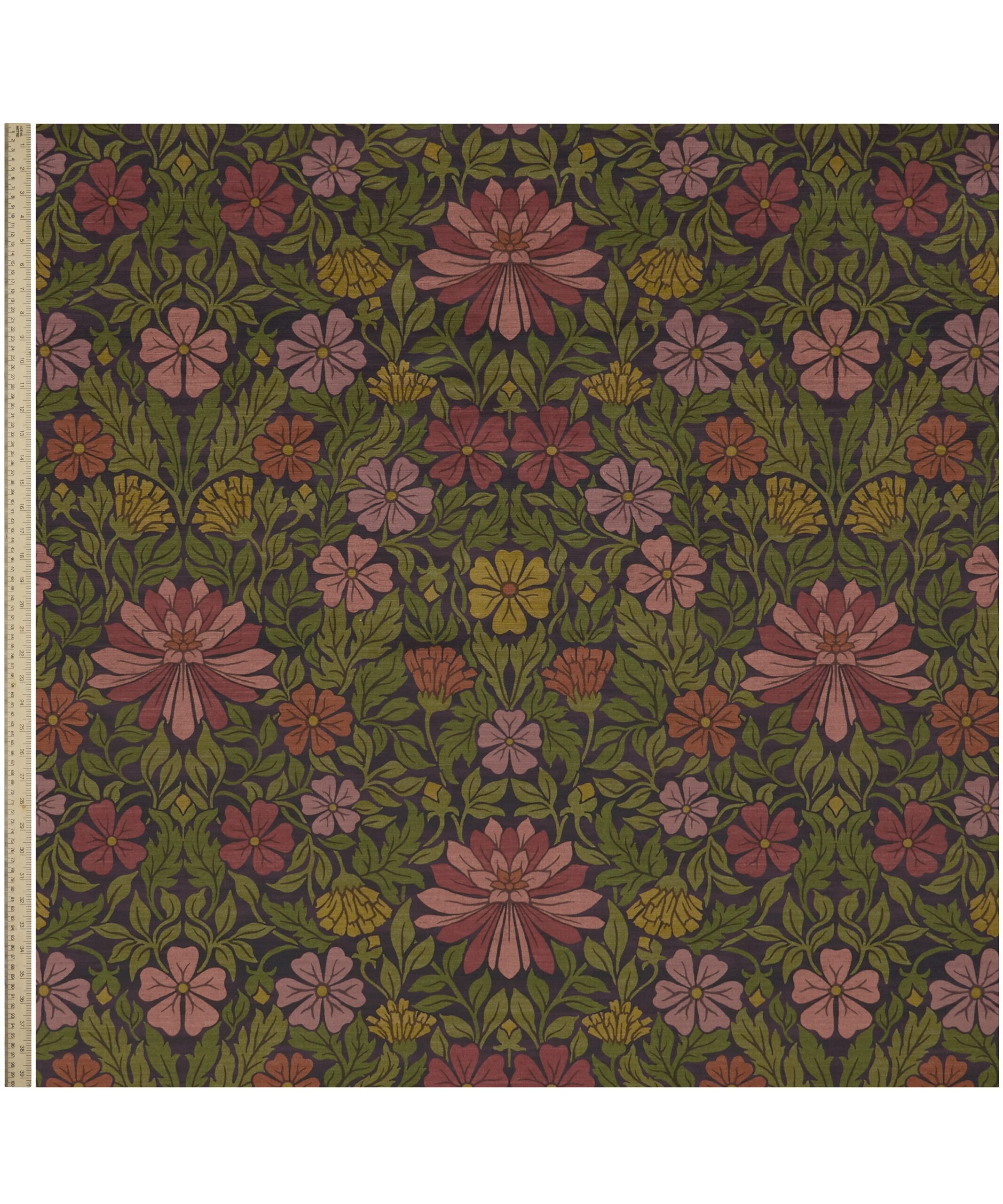 Moon Garden in Dragonfly - Indoor - Image 2