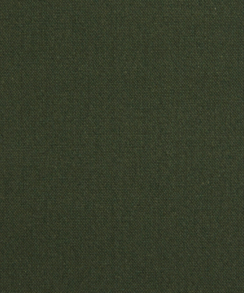 Cheslyn in Nettle - Indoor