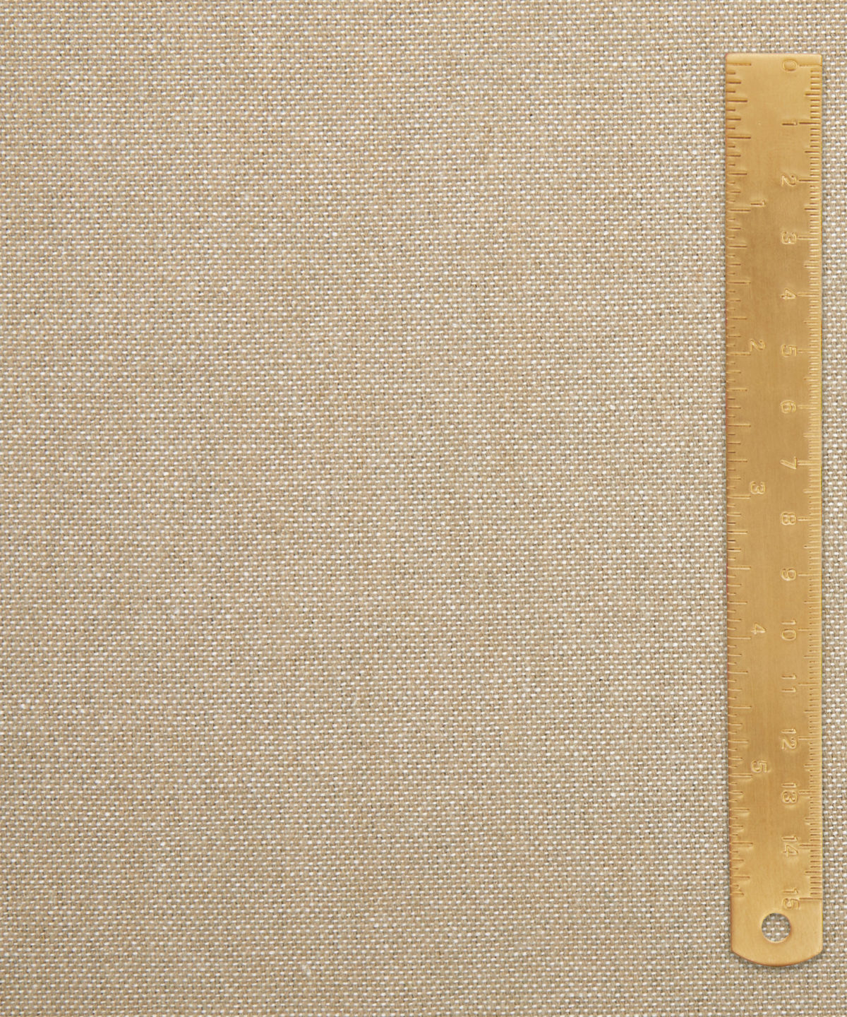 Cheslyn in Honesty - Indoor - Image 6