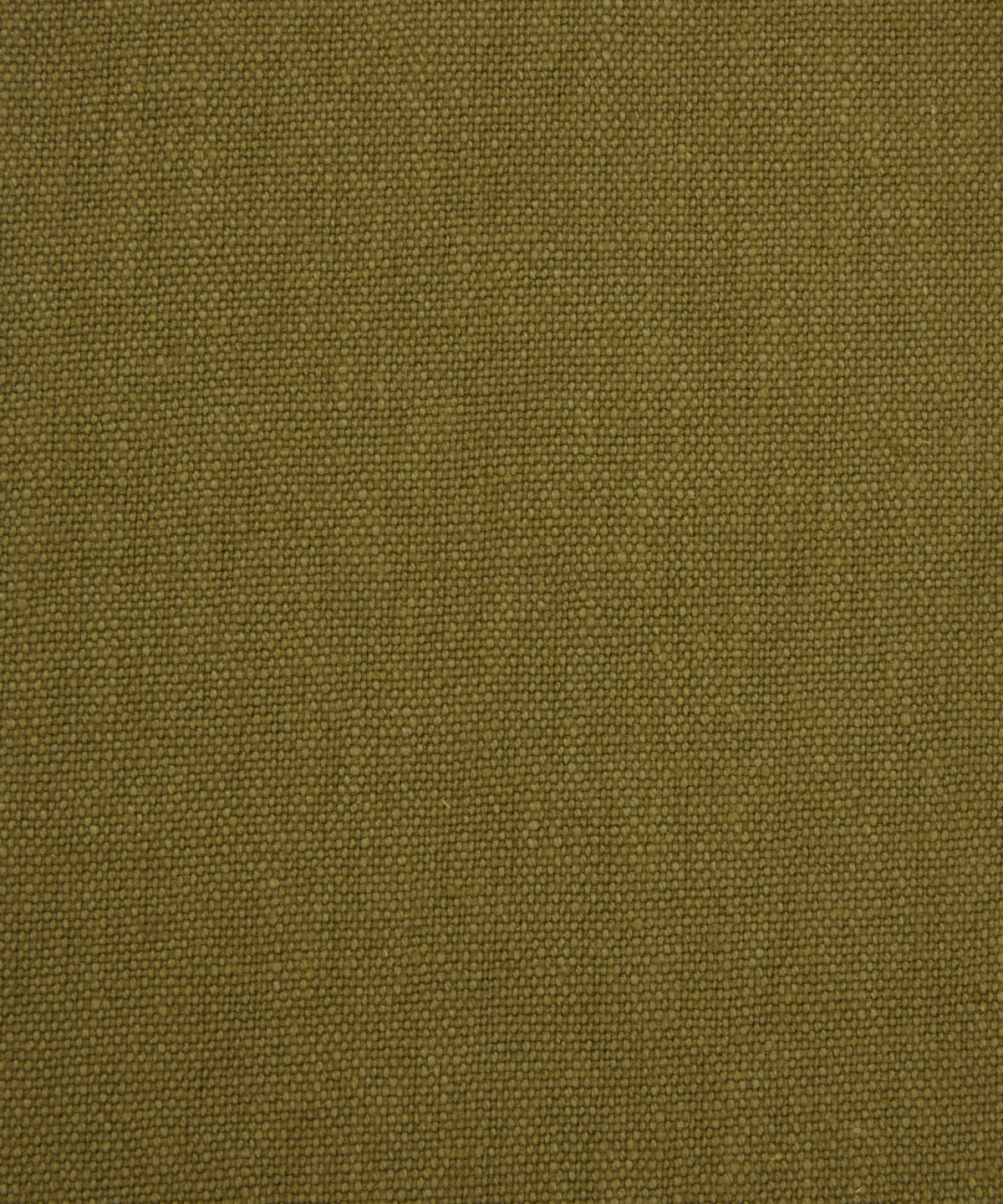 Duncombe in Kelp - Indoor