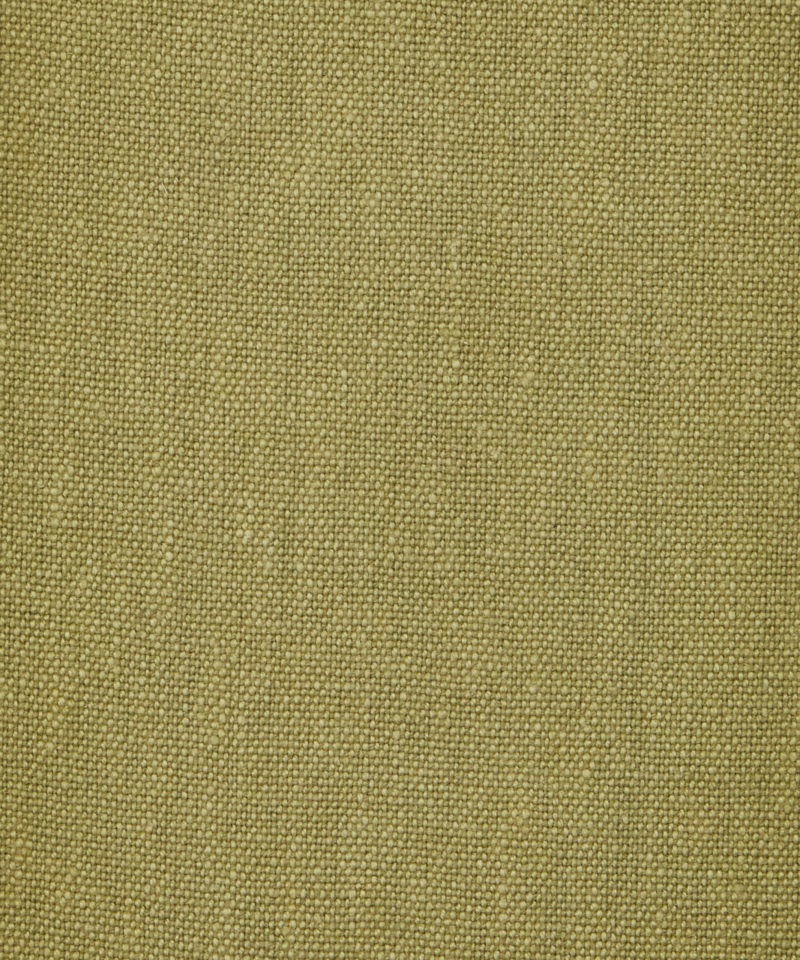 Duncombe in Lichen - Indoor