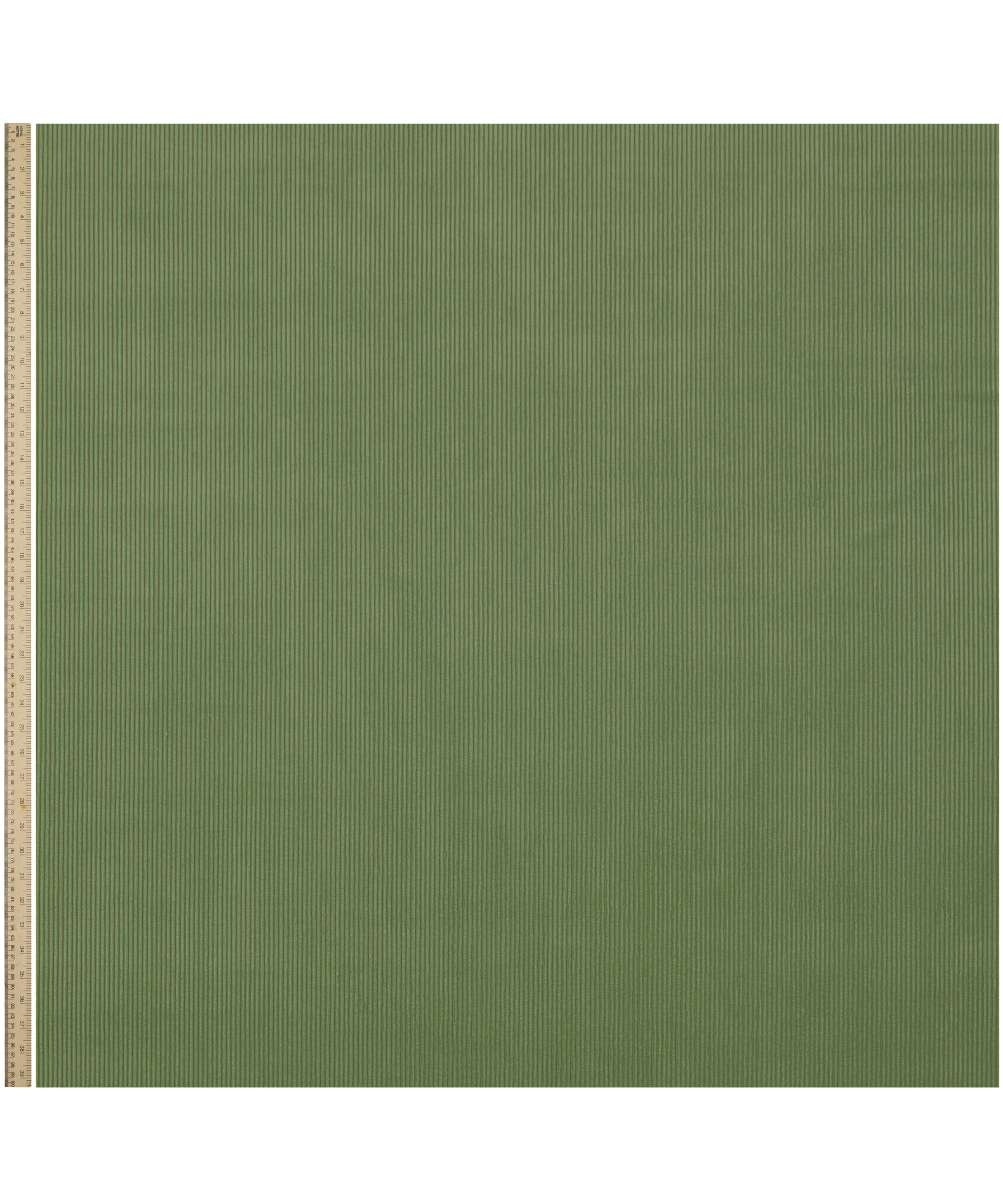 Isola in Fern - Indoor - Image 2