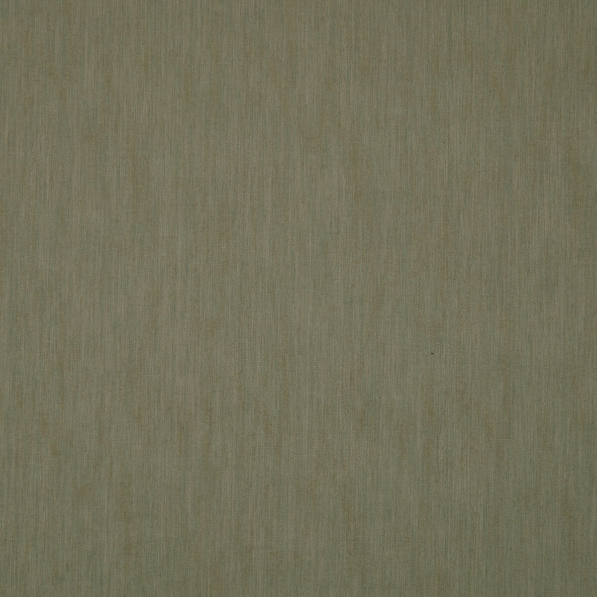 Canvas in Bark - Indoor
