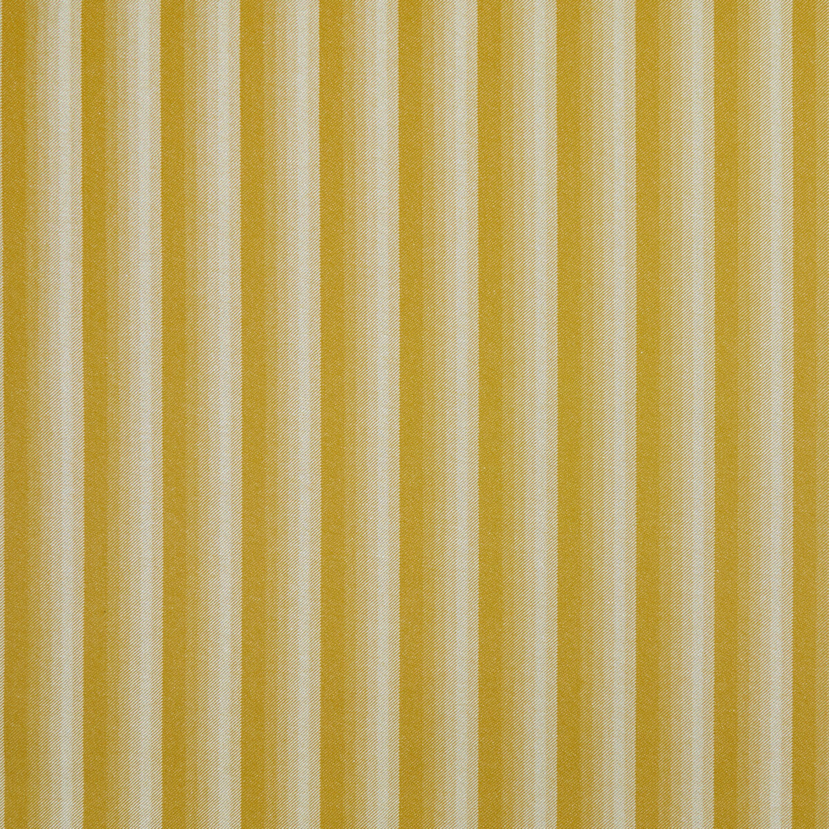 Shadow Line in July - Indoor