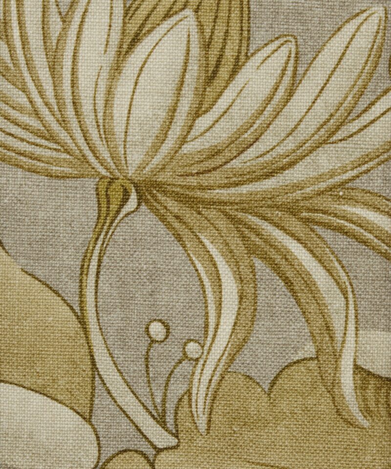 Wilde Lotus in Fennel - Indoor