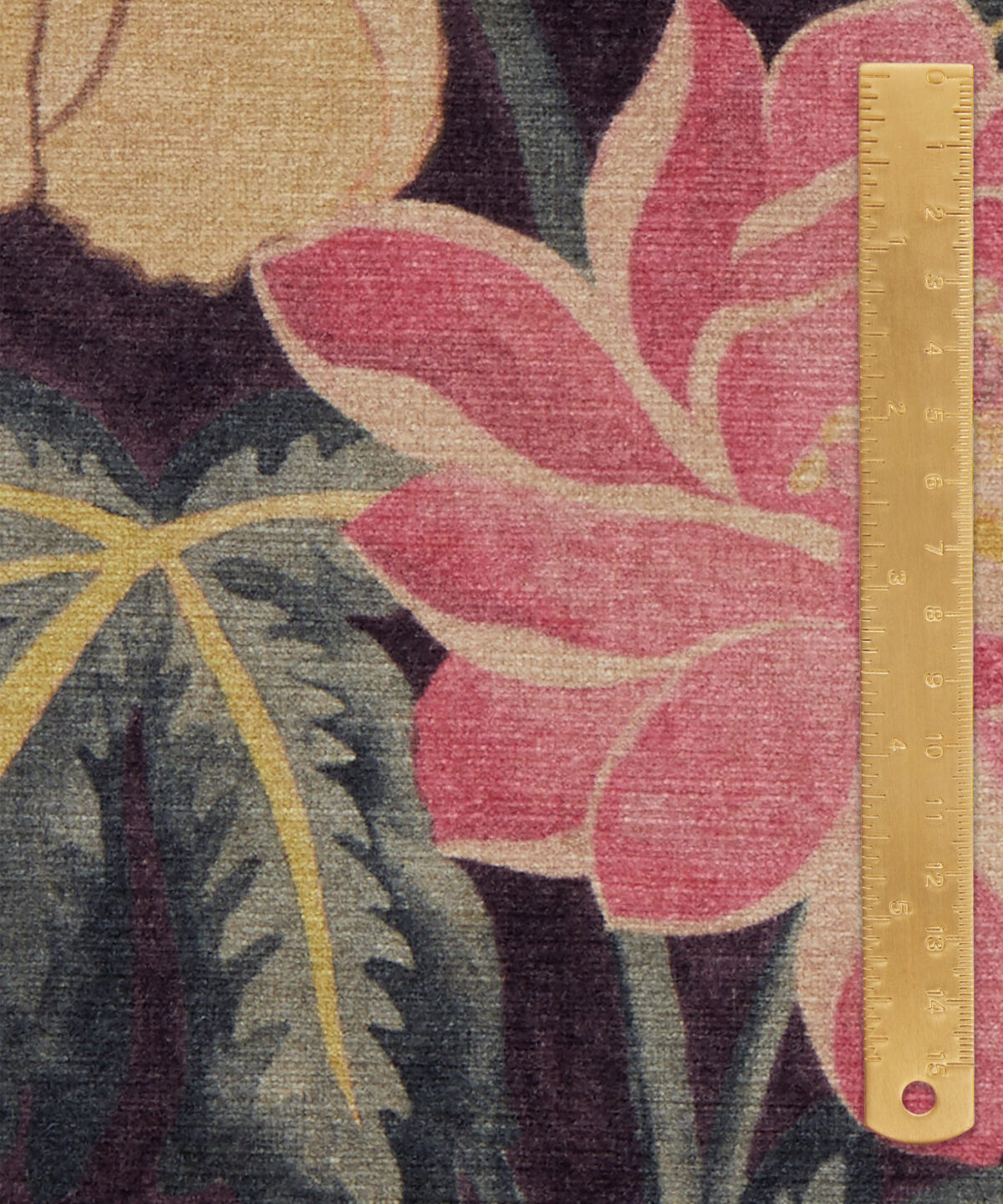 Lotus Garden in Brinjal - Indoor - Image 6
