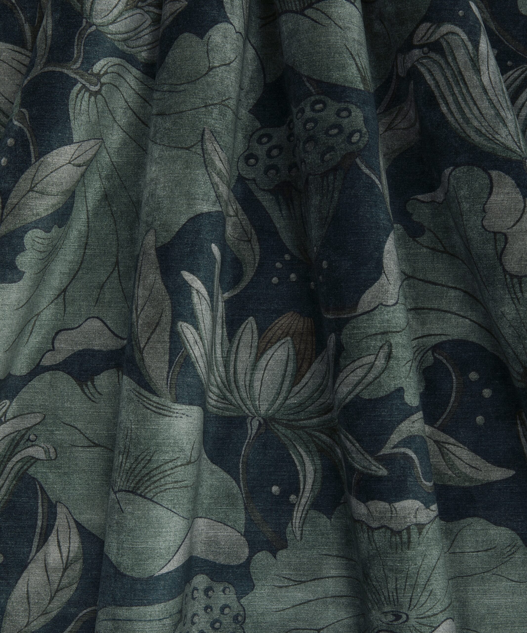 Wilde Lotus in Acacia - Indoor - Image 4