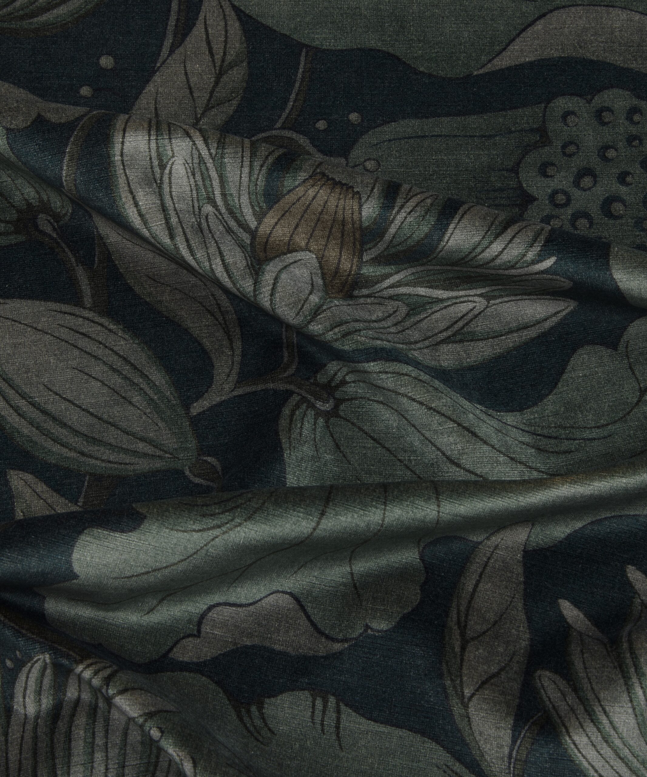 Wilde Lotus in Acacia - Indoor - Image 5