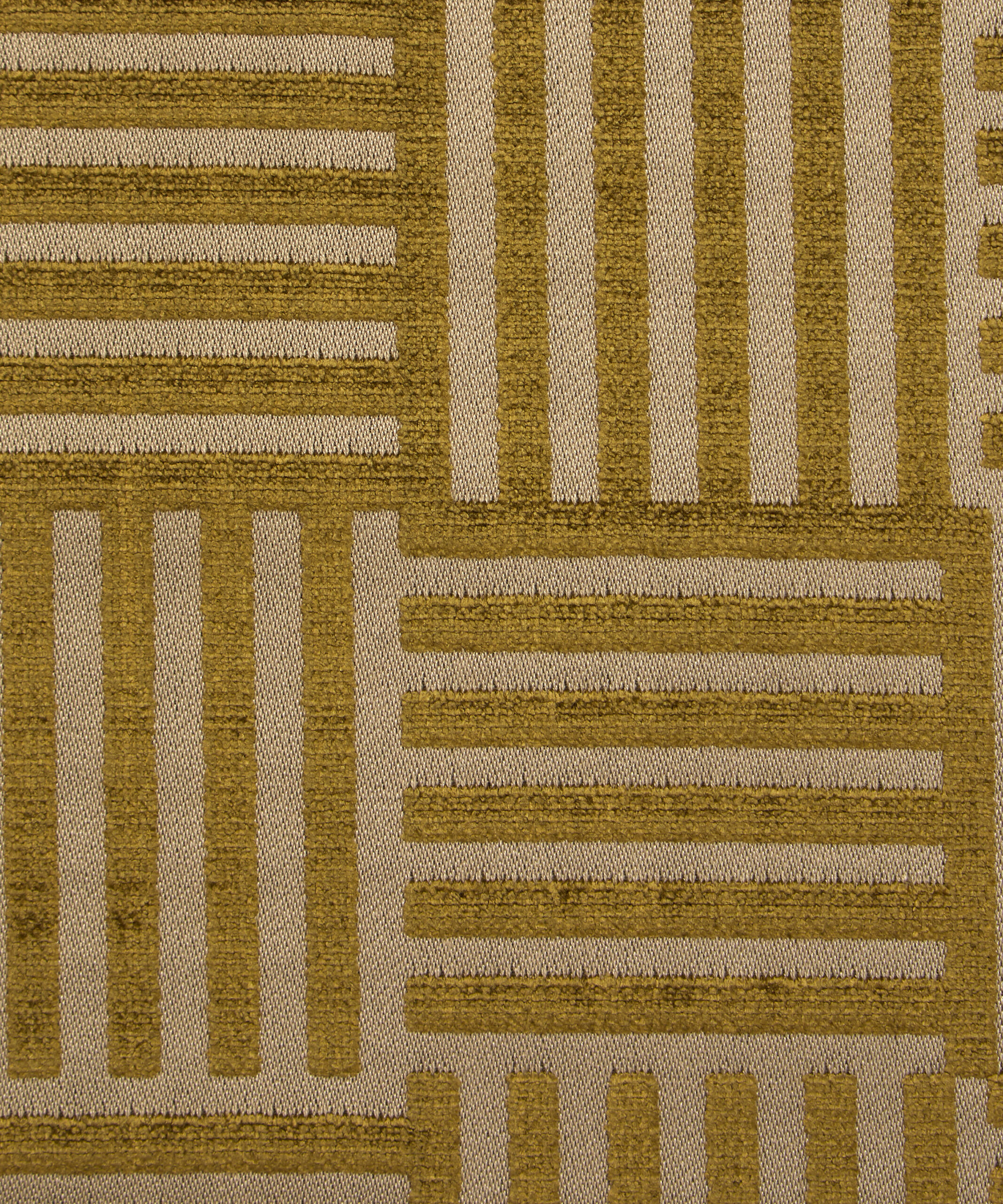 Archive Geo in Kelp - Indoor