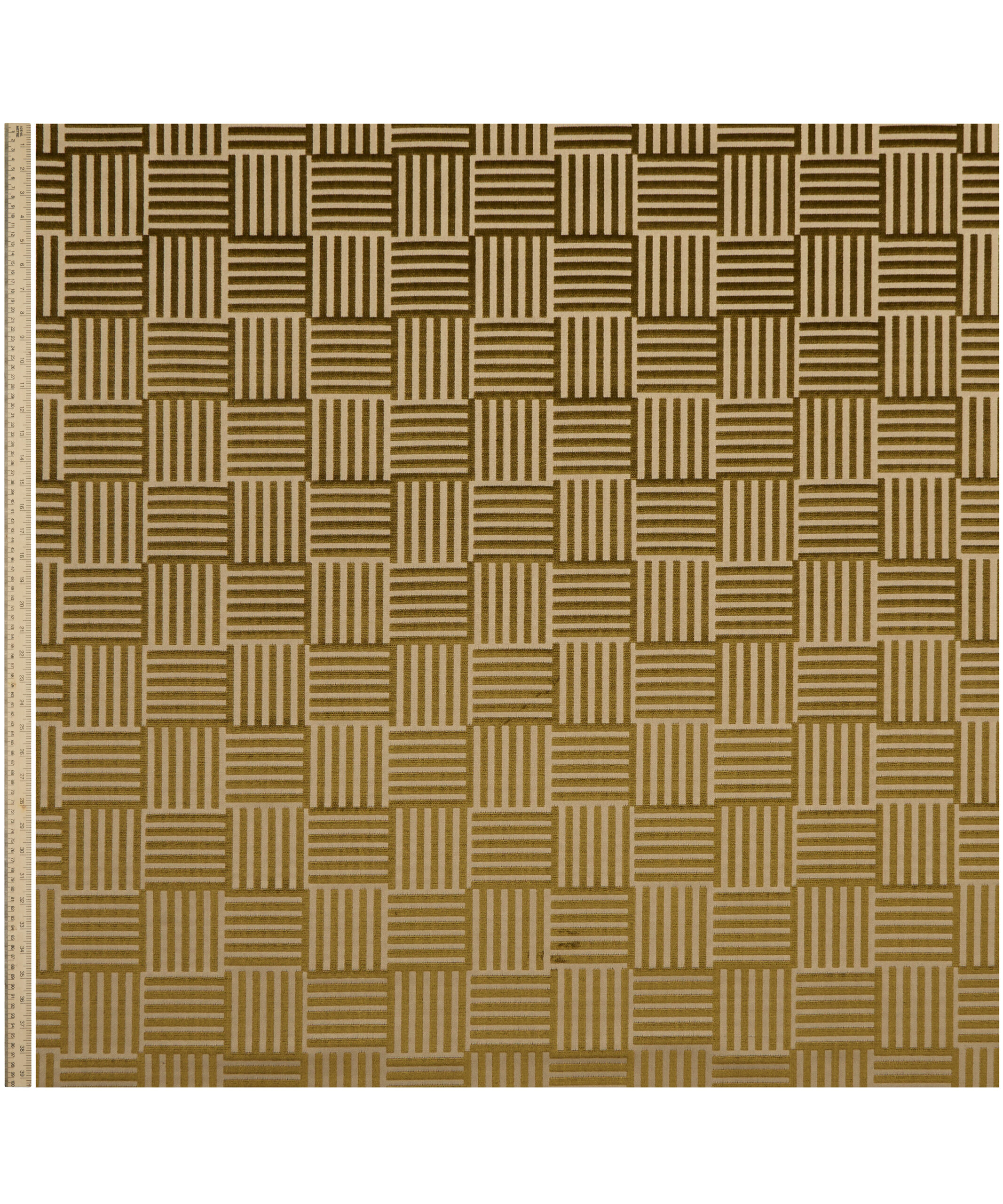 Archive Geo in Kelp - Indoor - Image 2