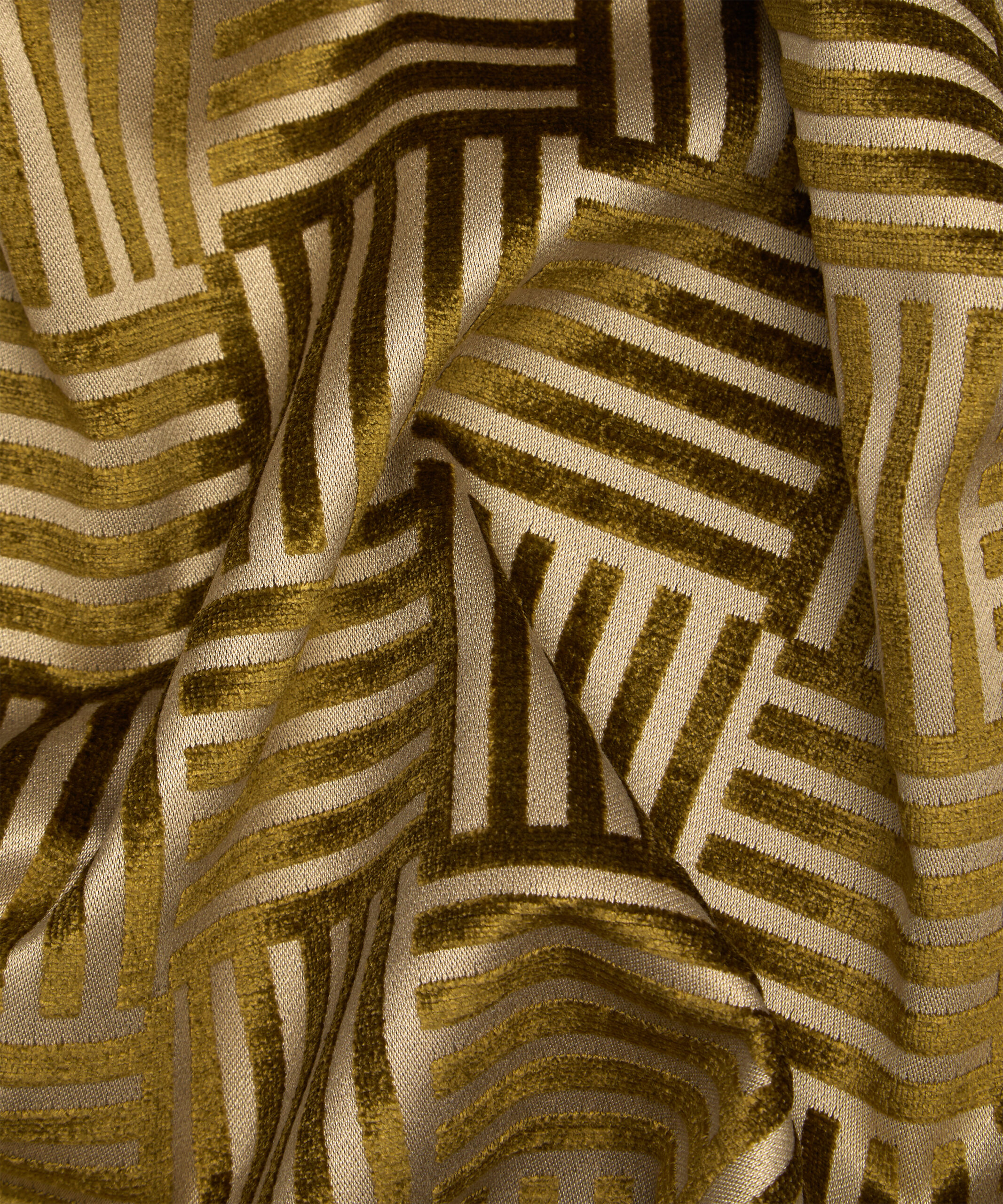 Archive Geo in Kelp - Indoor - Image 3