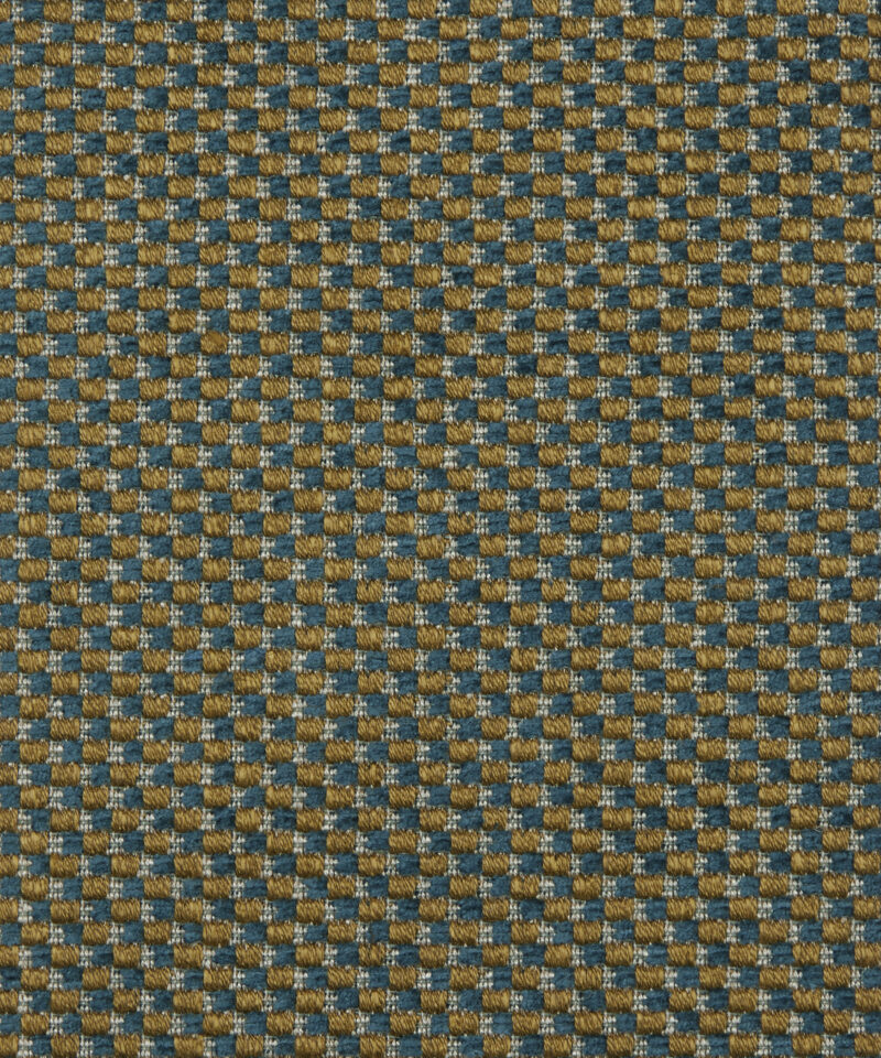 Tippet in Beetle - Indoor