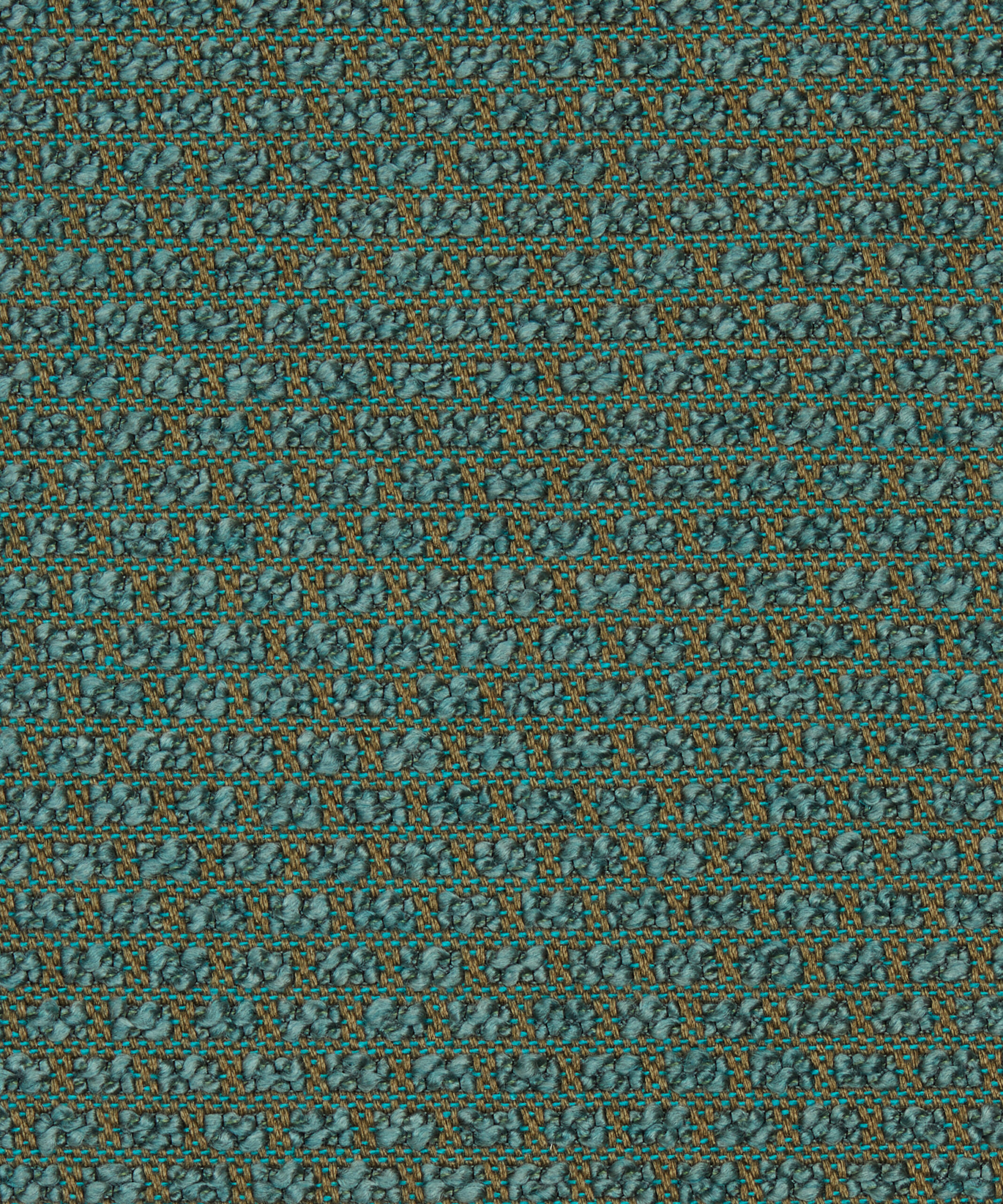 Tamba in Salvia - Indoor