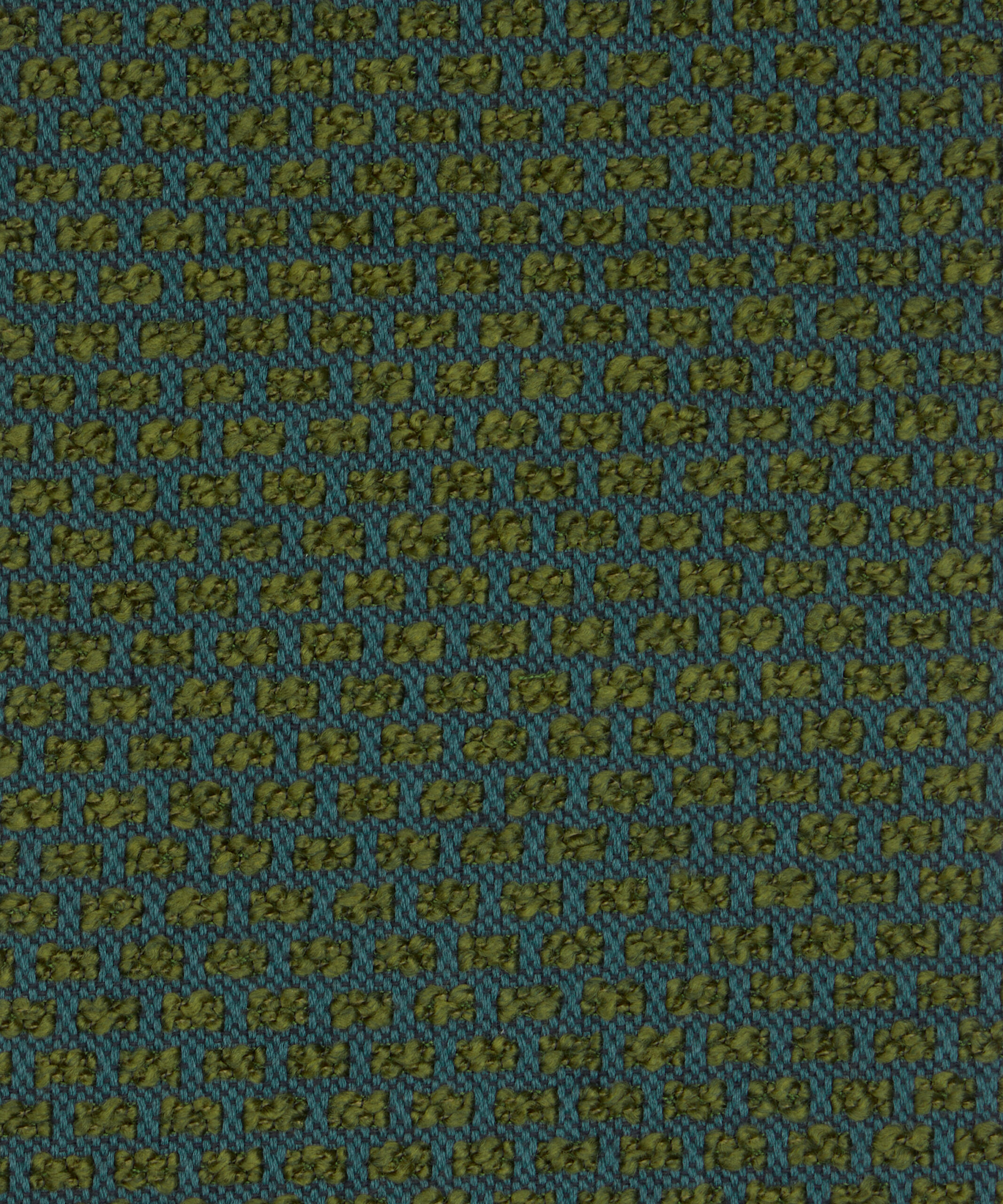 Tamba in Kelp - Indoor