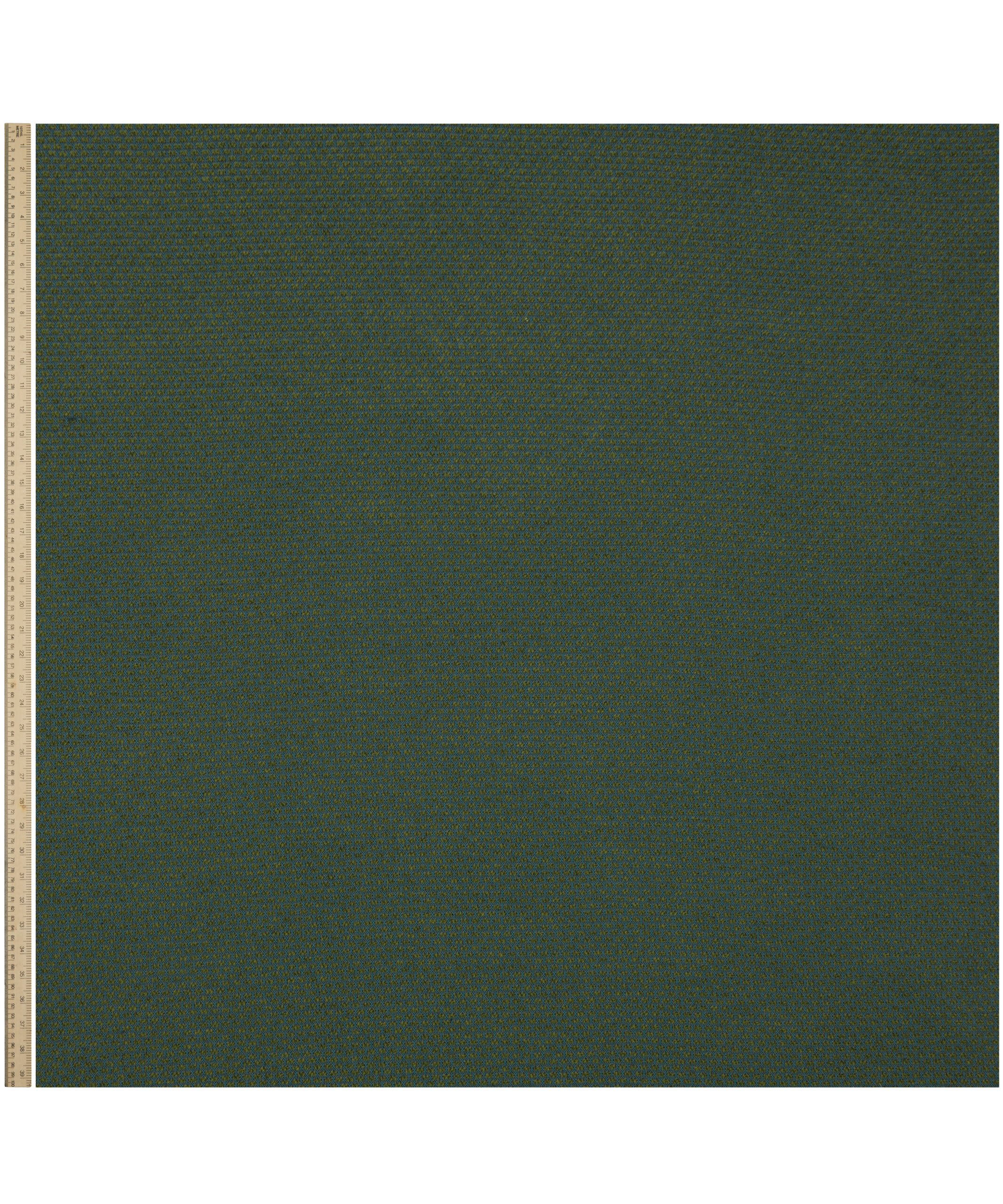 Tamba in Kelp - Indoor - Image 3