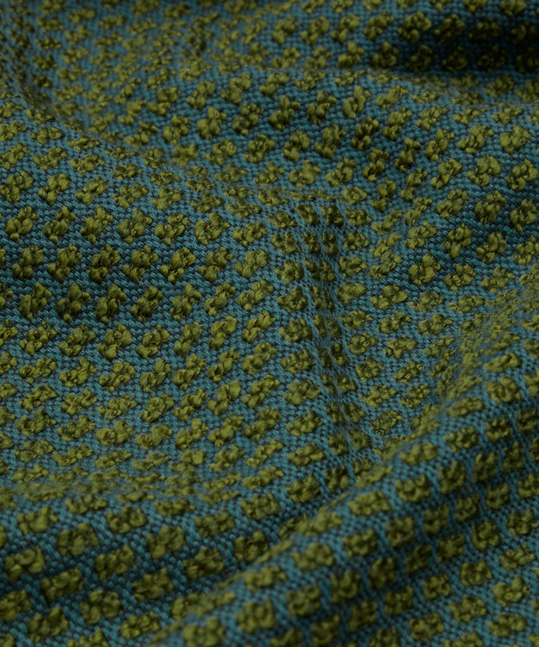 Tamba in Kelp - Indoor - Image 5