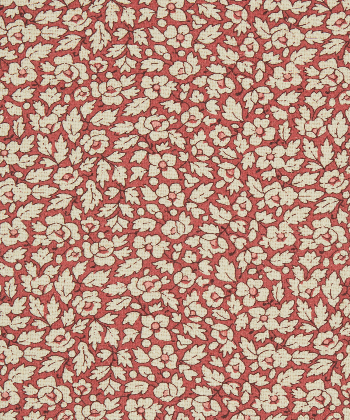 Feather Petals in Red Lac - Indoor
