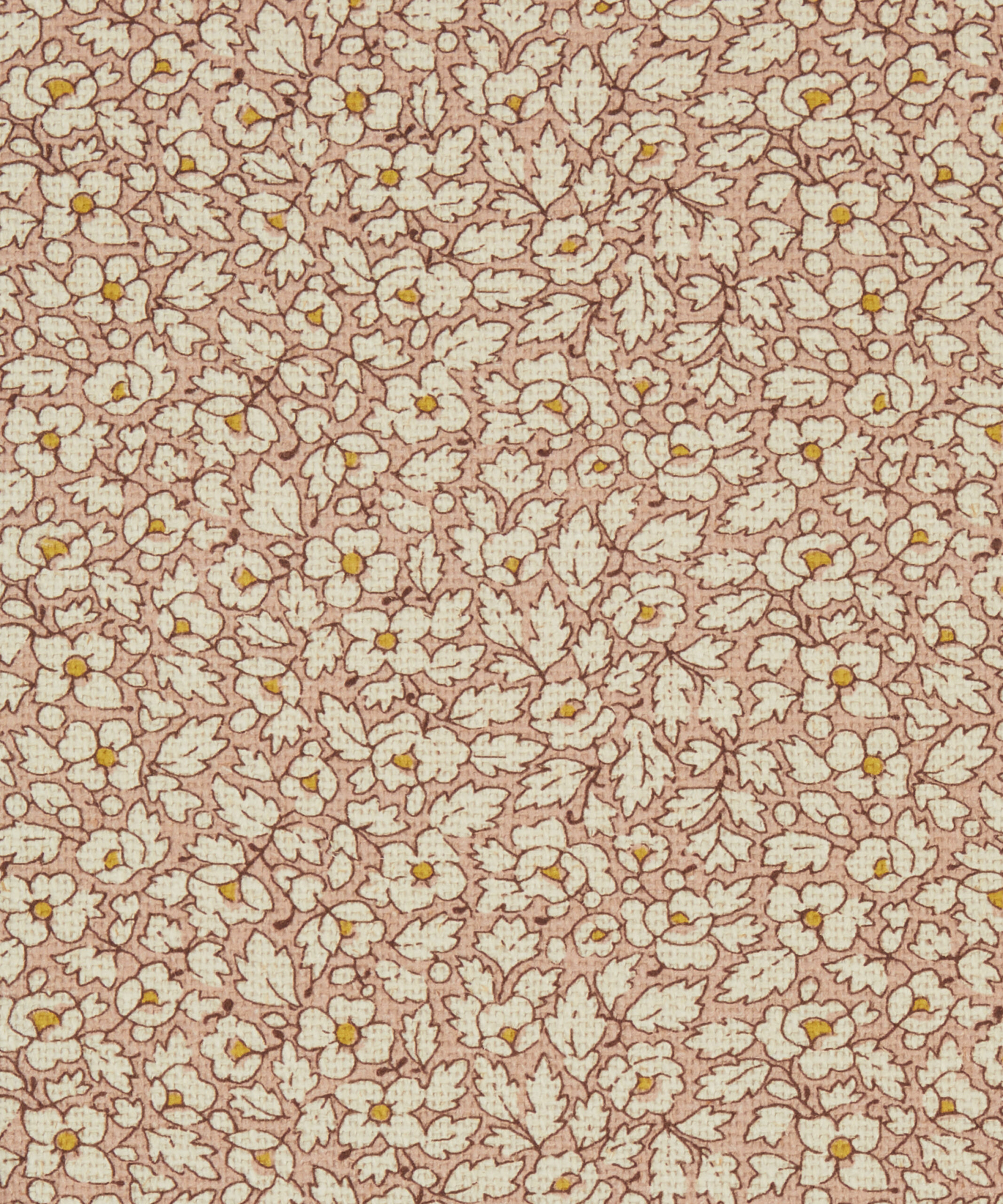 Feather Petals in Ointment - Indoor