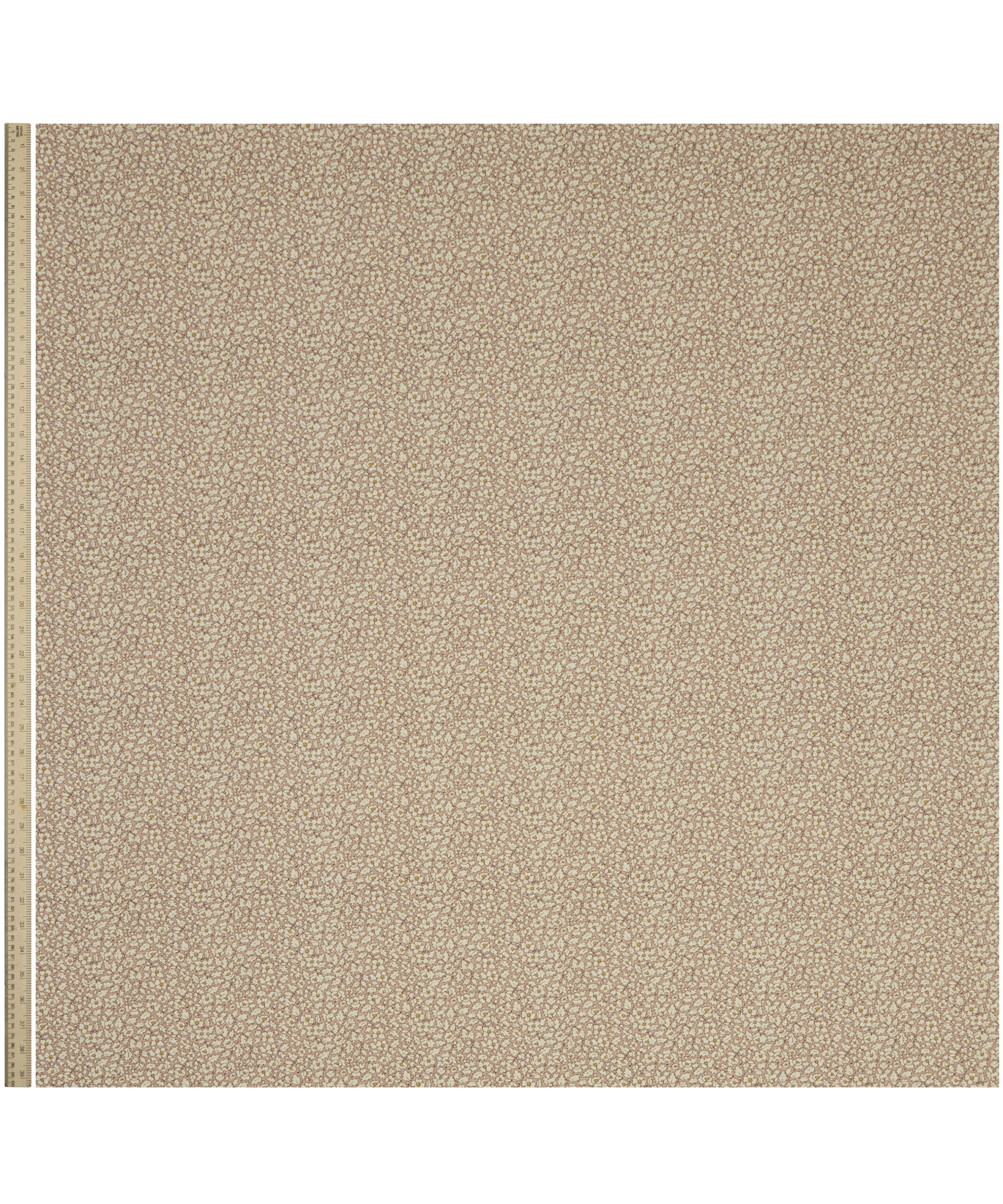 Feather Petals in Ointment - Indoor - Image 2