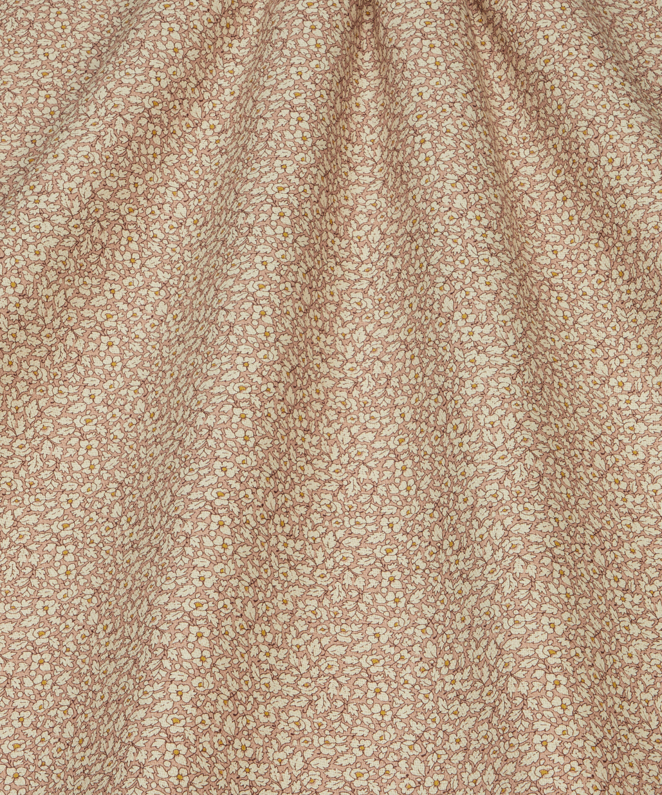 Feather Petals in Ointment - Indoor - Image 3