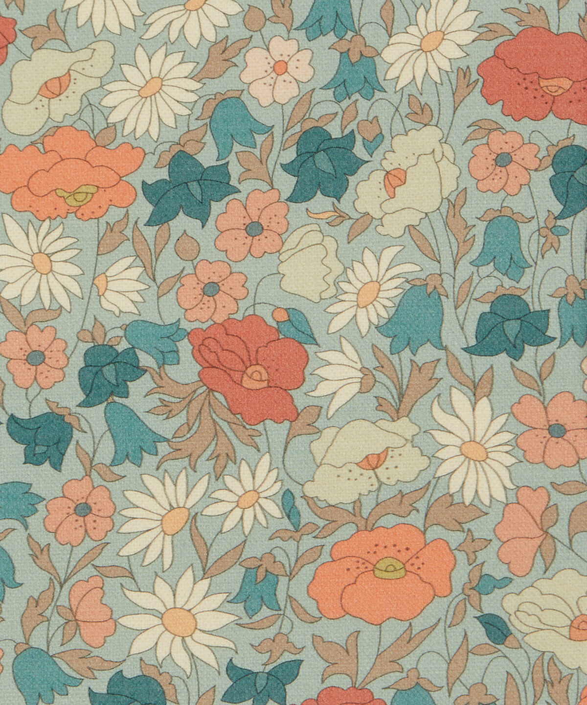 Poppy Meadowfield in Bullfinch - Indoor