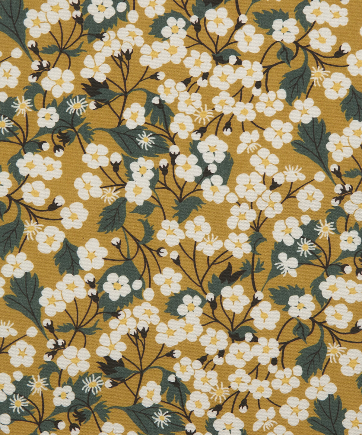 Mitsi Blossom in Yarrow - Indoor