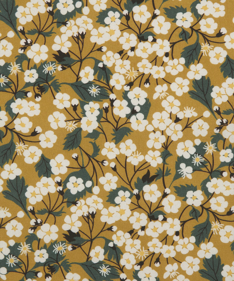 Mitsi Blossom in Yarrow - Indoor