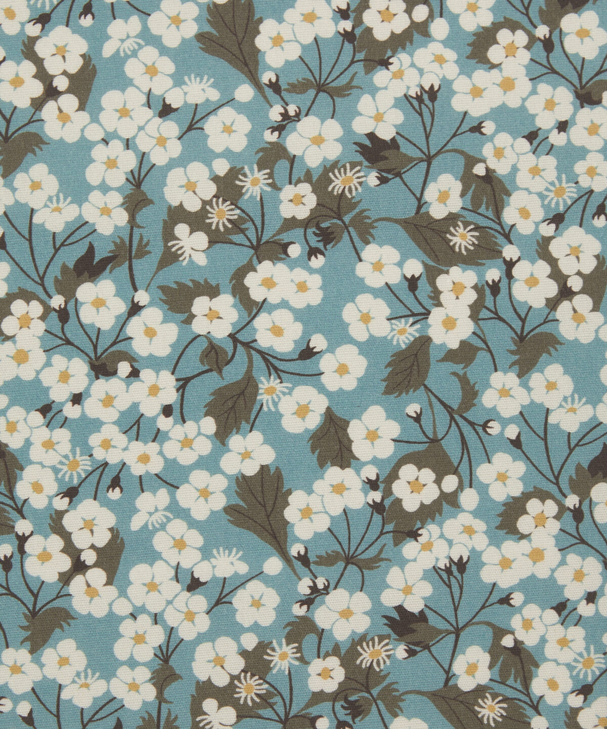 Mitsi Blossom in Robin's Egg - Indoor
