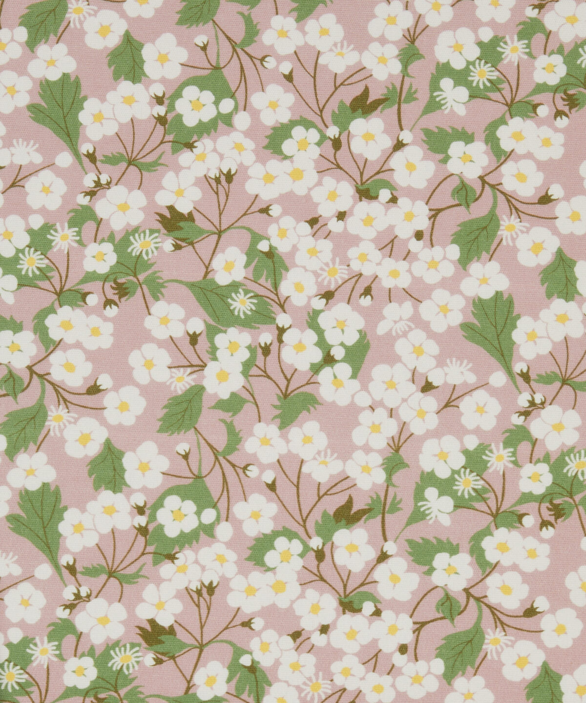 Mitsi Blossom in Slipper - Indoor