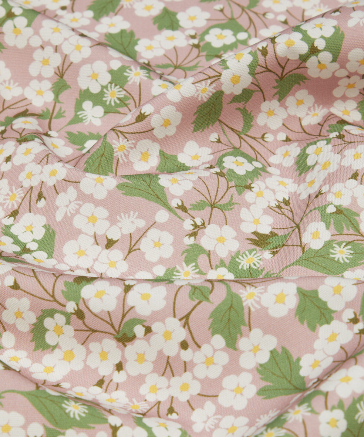Mitsi Blossom in Slipper - Indoor - Image 4