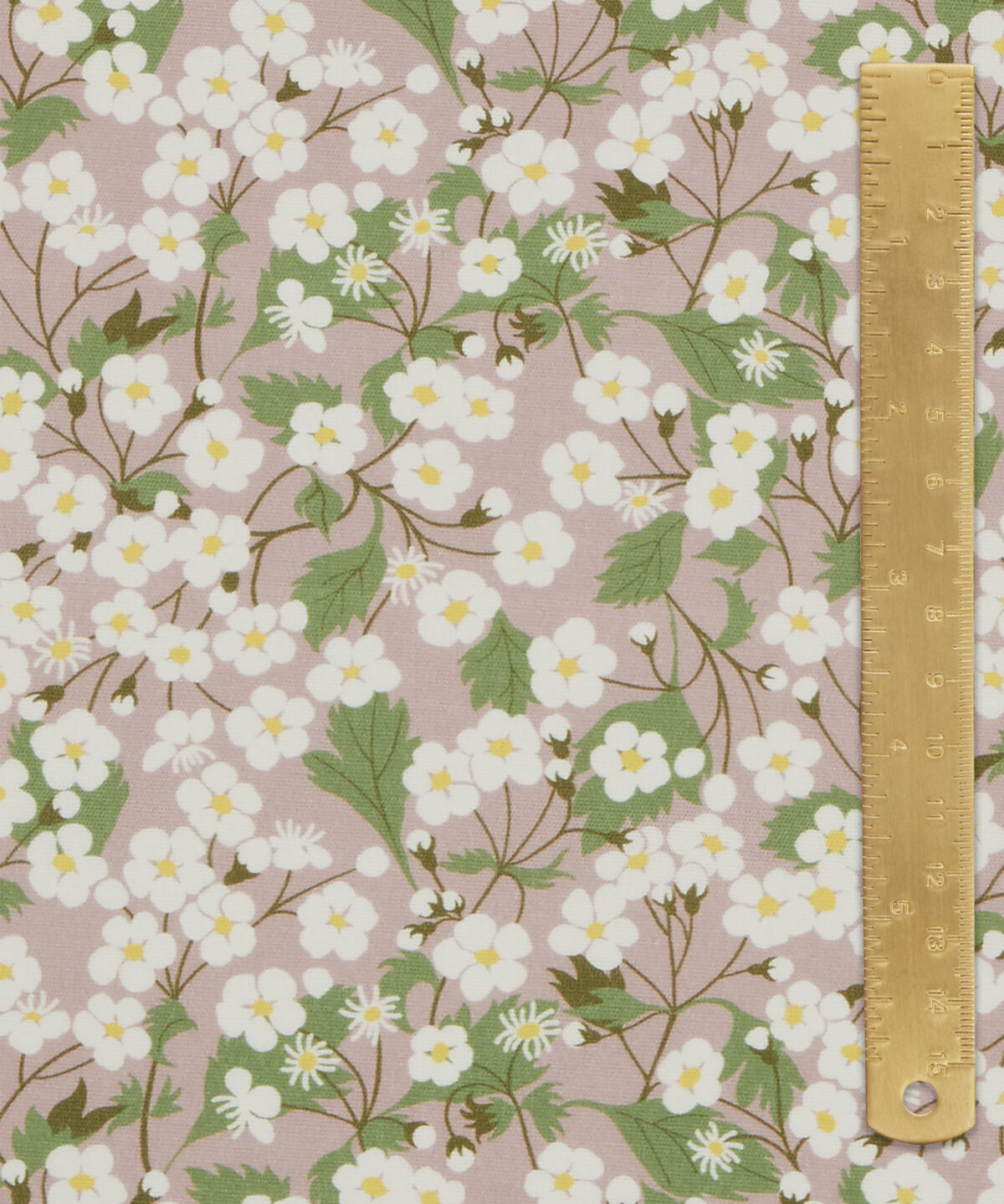 Mitsi Blossom in Slipper - Indoor - Image 5
