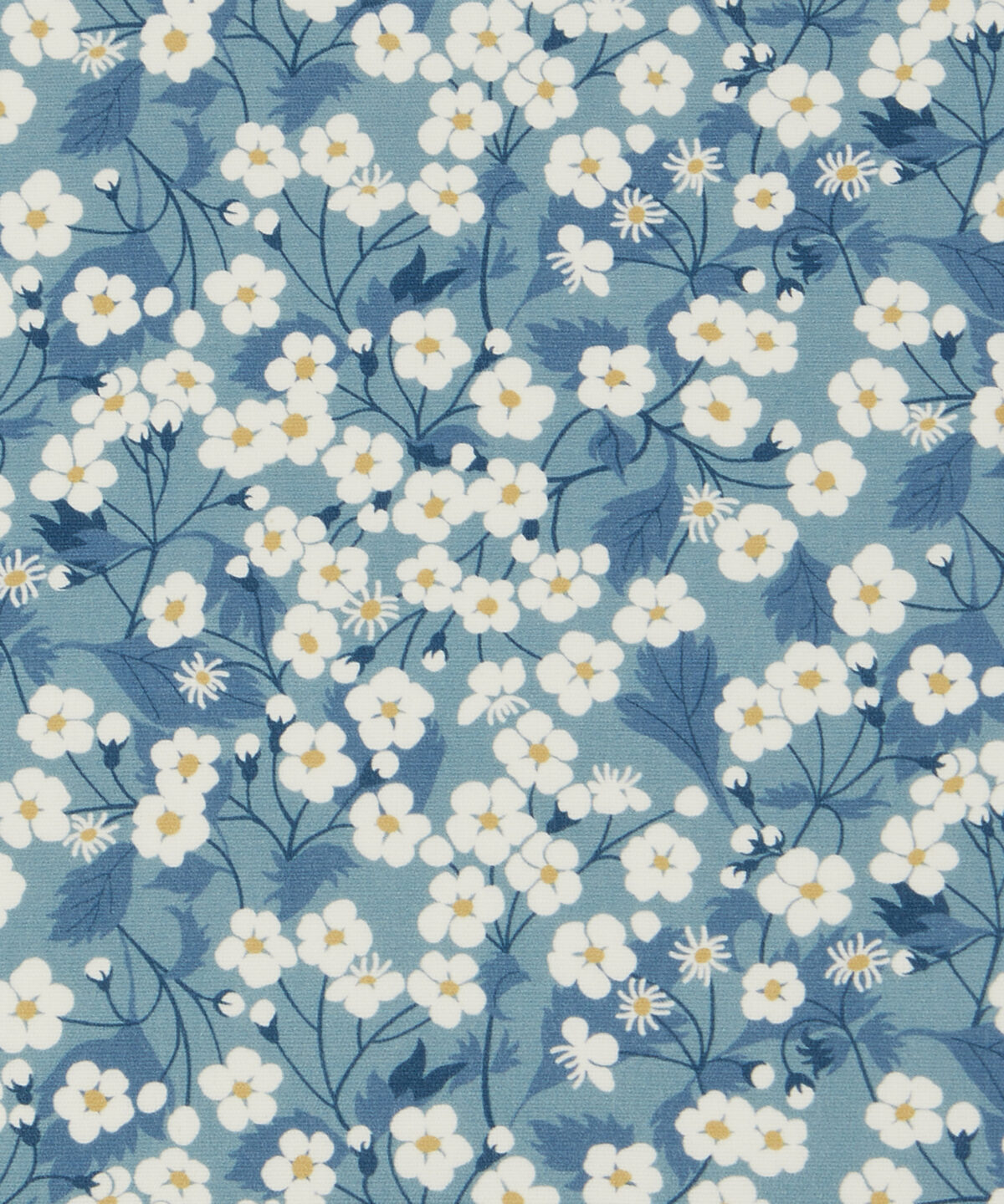 Mitsi Blossom in Bunting - Indoor