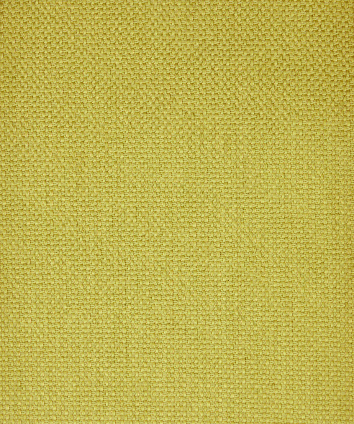 Tempera Marwood in Fennel - Outdoor